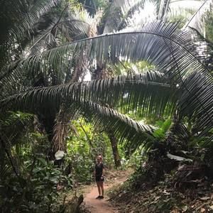 Meet your Posher, Jane